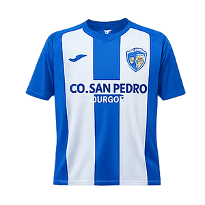 Camiseta